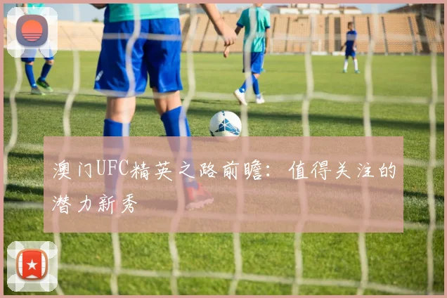 澳门UFC精英之路前瞻：值得关注的潜力新秀