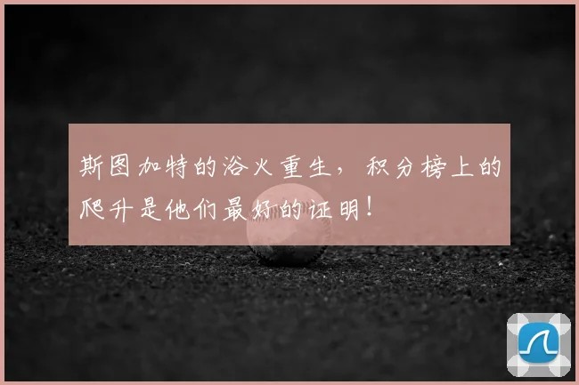 斯图加特的浴火重生,积分榜上的爬升是他们最好的证明!