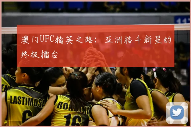 澳门UFC精英之路：亚洲格斗新星的终极擂台