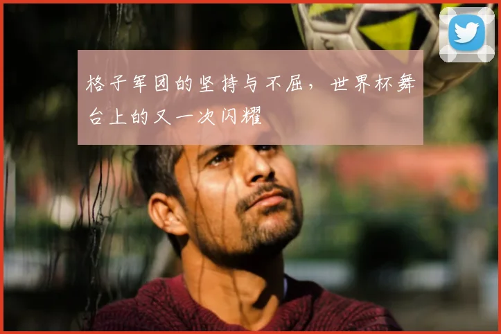 格子军团的坚持与不屈,世界杯舞台上的又一次闪耀